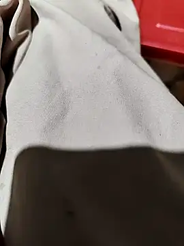 PRAPTITELUGU online show from 1, 4, 2026