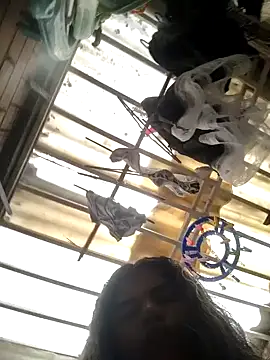 laperracobarde online show from 8, 3, 2026