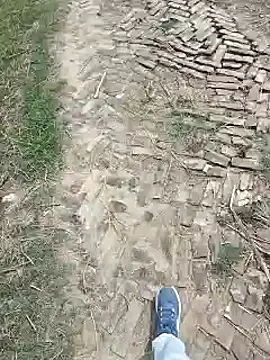 Pagelboy 089 online show from 27, 3, 2026