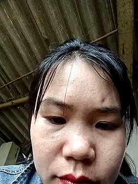 him220 online show from 6, 3, 2026