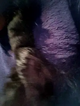 Queen chayna online show from 16, 1, 2026