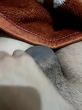  chota bunny  online show from 24, 2, 2026