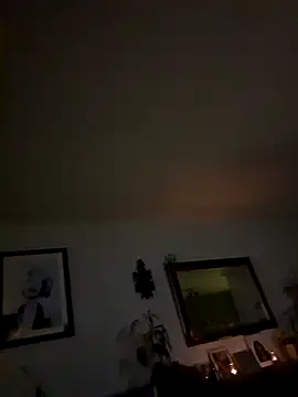 Snapshot of THC81NL chatting on 9, 11, 2025 THC81NL online show from 9, 11, 2025