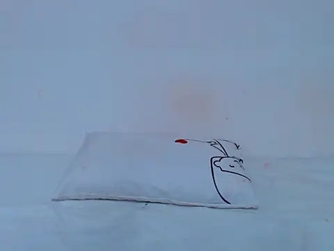 Snapshot of HONEYxPOT chatting on 4, 2, 2026 HONEYxPOT online show from 4, 2, 2026