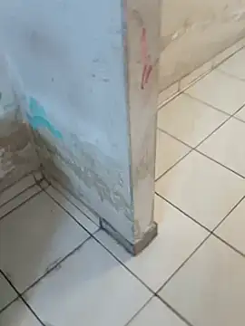     gozada---- online show from 8, 1, 2026