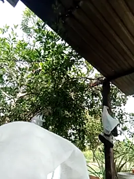 -Nicole-e online show from 10, 2, 2026