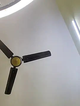 trinasa online show from 10, 1, 2026