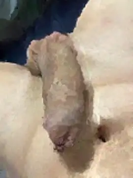 Snapshot of misteryboi chatting on 1, 2, 2026 misteryboi online show from 1, 2, 2026