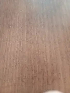 Snapshot of Kmali5465 chatting on 11, 2, 2026 Kmali5465 online show from 11, 2, 2026