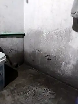 waaini99 online show from 25, 2, 2026