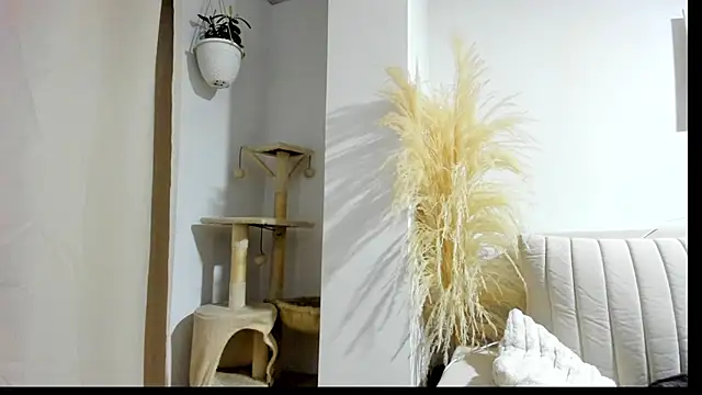  Sweet ary online show from 8, 4, 2026