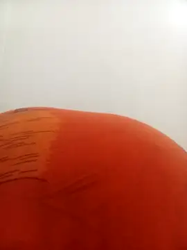 Snapshot of PatriciaVen chatting on 9, 2, 2026 PatriciaVen online show from 9, 2, 2026