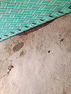 Hot su16 online show from 30, 4, 2026