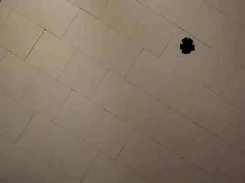 Snapshot of sterng6969 chatting on 9, 4, 2026 sterng6969 online show from 9, 4, 2026