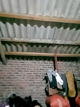 Diana-02 online show from 28, 2, 2026