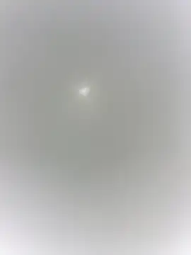 sharck12 35 online show from 18, 1, 2026