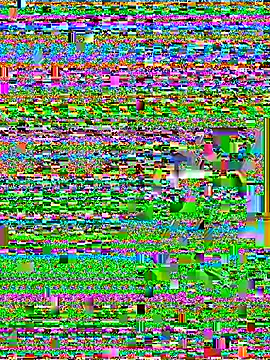 Wicy23 online show from 29, 5, 2026