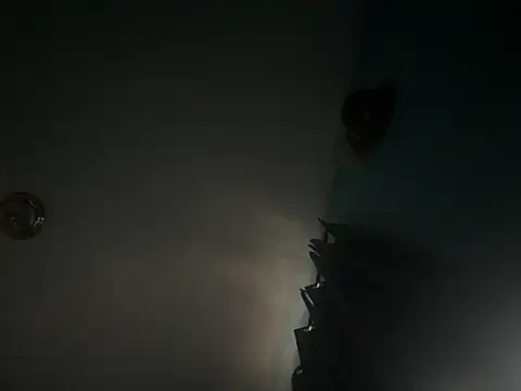 CcincoVilla online show from 24, 2, 2026