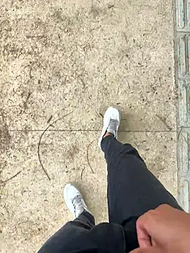 Novinho Pauzudo 18cm online show from 24, 2, 2026