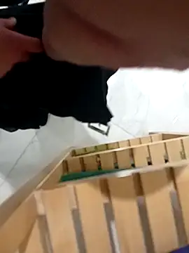 testmailx75 online show from 9, 2, 2026