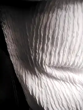 RosseLaure online show from 25, 2, 2026