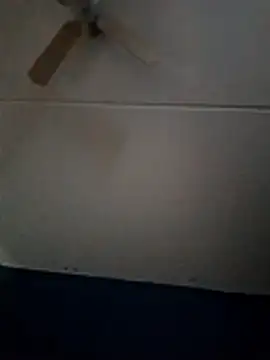 dewimp1 online show from 1, 2, 2026