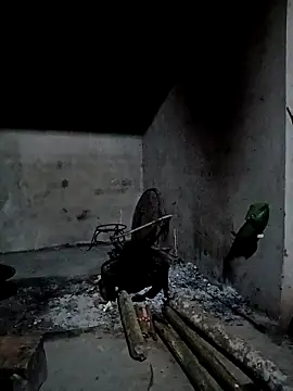 cutebobi online show from 4, 4, 2026