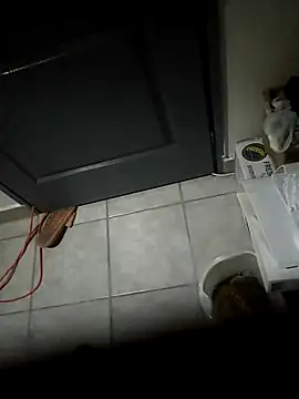 Punciprof online show from 9, 4, 2026