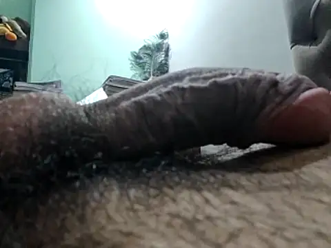 DB boy online show from 10, 2, 2026