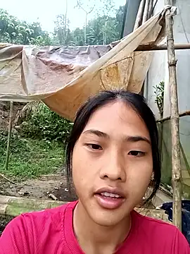 Hoa-tuylip online show from 27, 3, 2026