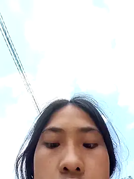 Hoa-tuylip online show from 11, 4, 2026