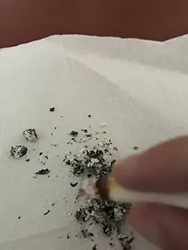 Snapshot of dickdondra chatting on 2, 2, 2026 dickdondra online show from 2, 2, 2026