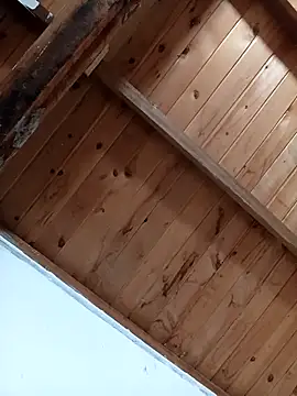 luna pinky online show from 1, 3, 2026