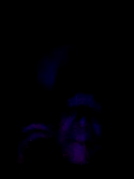 Snapshot of 061190 chatting on 28, 2, 2026 061190 online show from 28, 2, 2026