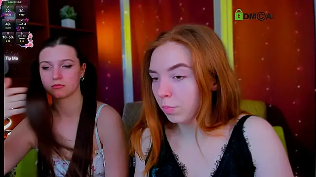 stella flower online show from 4, 4, 2026