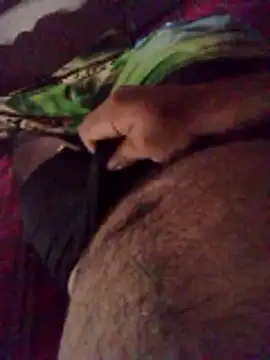 fcenteno124 online show from 1, 4, 2026