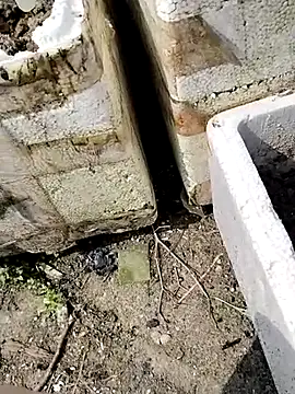 Queen-love45 online show from 1, 3, 2026