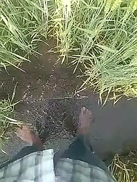 Cute Boy 4 online show from 10, 2, 2026