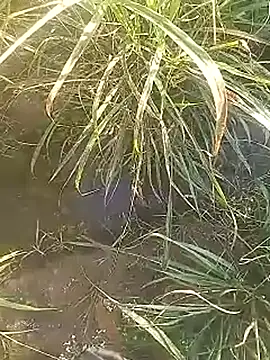 Cute Boy 4 online show from 27, 2, 2026