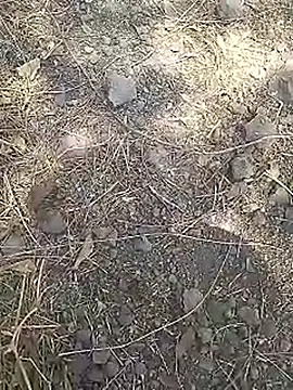 Cute Boy 4 online show from 15, 3, 2026