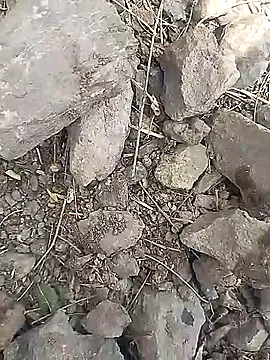 Cute Boy 4 online show from 30, 3, 2026