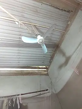 Snapshot of JordanX_01 chatting on 3, 4, 2026 JordanX 01 online show from 3, 4, 2026