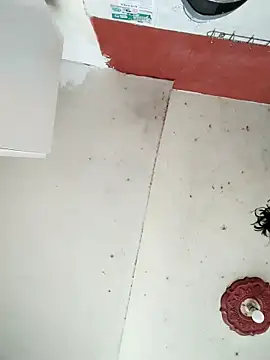 cynliu online show from 14, 4, 2026