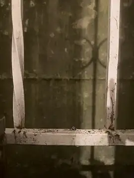 Diggaoder online show from 21, 4, 2026