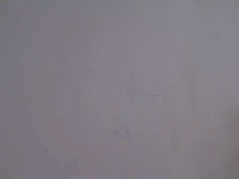 Snapshot of placerverdadero chatting on 15, 2, 2026 placerverdadero online show from 15, 2, 2026