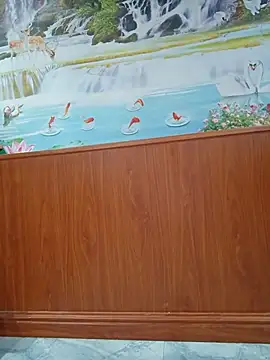 sa-sakura online show from 23, 3, 2026