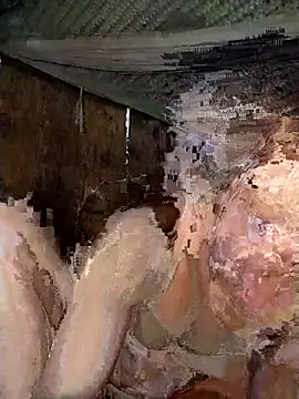 Snapshot of Bella-222 chatting on 2, 3, 2026 Bella-222 online show from 2, 3, 2026