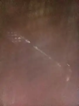 Dunk-namic online show from 4, 4, 2026