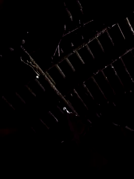 alex callmemaybe69 online show from 9, 2, 2026