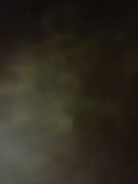 valentina ks online show from 9, 4, 2026